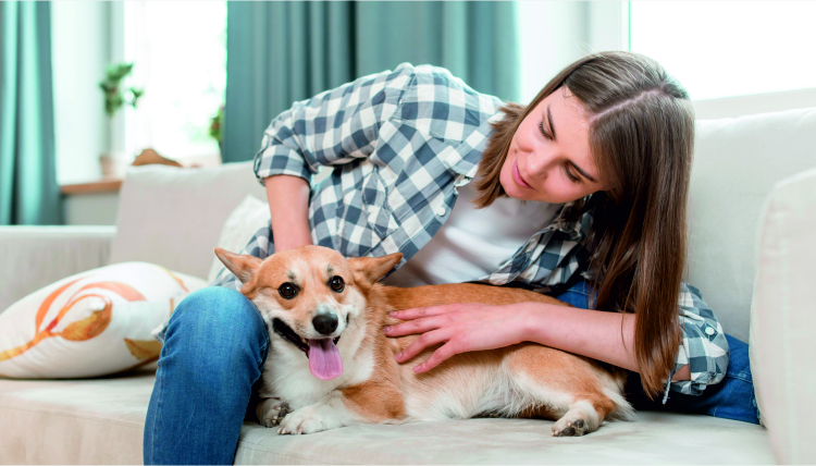 HVAC Safety Tips for Pet Owners During the Summer Months