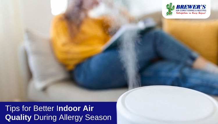 Tips To Improve Indoor Air Quality During Allergy Season